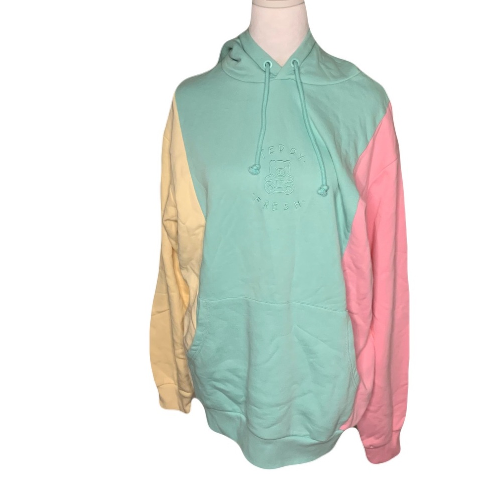 Teddy Fresh Mint Green, Pastel Pink, and Soft Yellow Unisex Hoodie